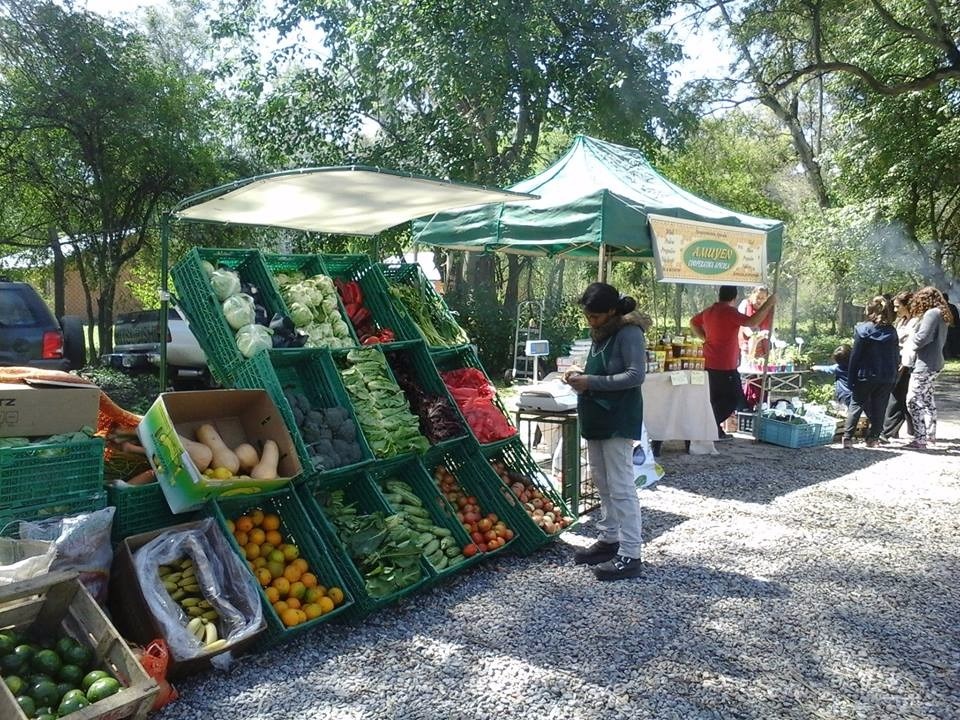 feria productores locales