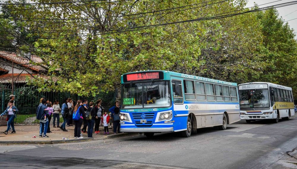 colectivos